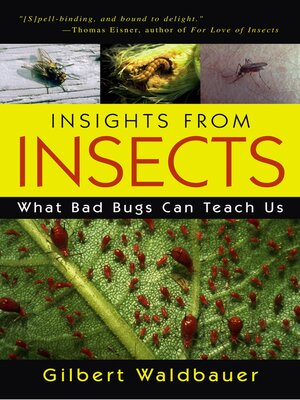 cover image of Insights From Insects